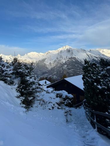 Authentic swiss chalet by Jolidi, Nendaz