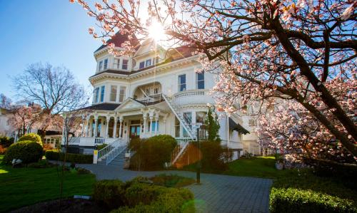 Pendray Inn and Tea House - Accommodation - Victoria