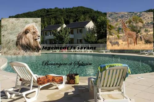 T3 la savane saint Geniez d'olt 2 piscines chauffées dans une charmante résidence de vacances - Les Salces
