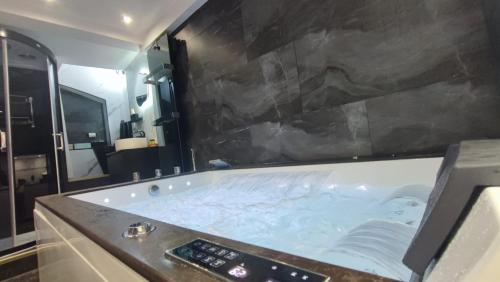 SPA Dijon Historic Center - Unusual - Design - Location saisonnière - Dijon