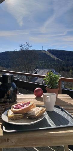 Aussicht in Hahnenklee-Bockswiese, Deutschland