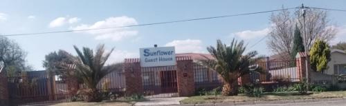 Sunflower Guesthouse in Ventersburg
