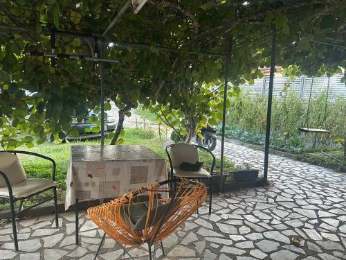 Rooms Struga in ستروجا