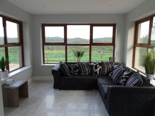 Forrest view in Dunfanaghy