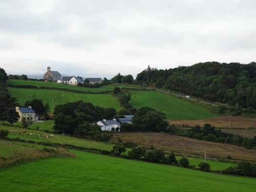 Forrest view in Dunfanaghy
