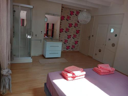Appart hotel du levray