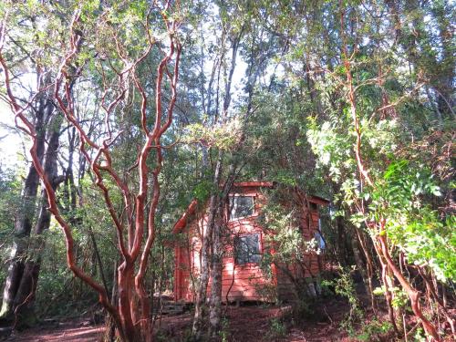 สภาพแวดล้อมโดยรอบ, Cabaña Arrayan (Cabana Arrayan) in กาบูร์กวา