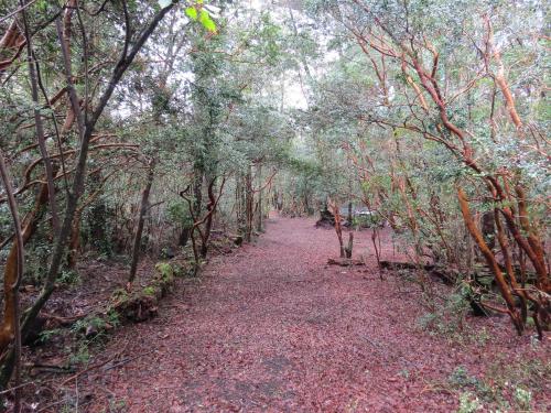 สภาพแวดล้อมโดยรอบ, Cabaña Arrayan (Cabana Arrayan) in กาบูร์กวา