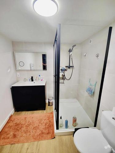 Charmante maison avec jardin dans le cœur de Savennières (Charmante maison avec jardin dans le cœur de Savennieres) in Saint-Georges-sur-Loire