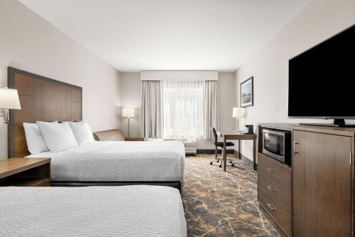 2 queen beds, 1 sofa bed