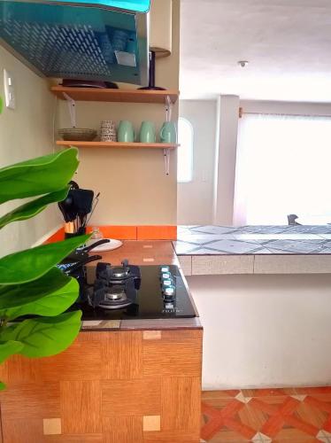 Lindo departamento in Zinakantepe