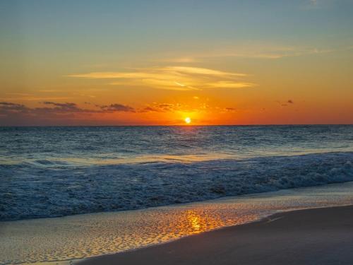 Avalon Beach