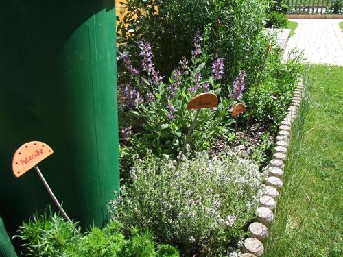 Ferienhäuser Aura - main image