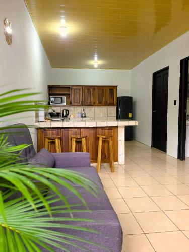 Butterfly Apartments, Fortuna