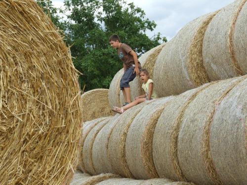 Ferienhäuser Aura - image 2