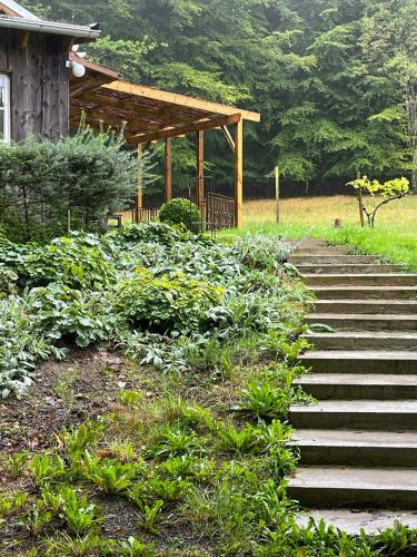 外部景觀, Sustainable Cabin In Beech Forest At Mellby Käsk (Sustainable Cabin In Beech Forest At Mellby Kask) in 錫姆里斯