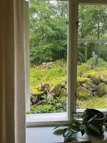 外部景觀, Sustainable Cabin In Beech Forest At Mellby Käsk (Sustainable Cabin In Beech Forest At Mellby Kask) in 錫姆里斯