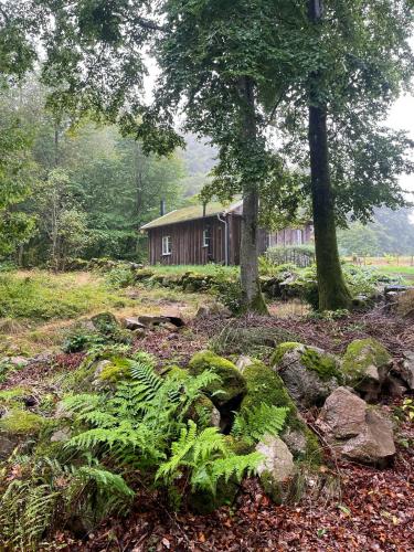 外部景觀, Sustainable Cabin In Beech Forest At Mellby Käsk (Sustainable Cabin In Beech Forest At Mellby Kask) in 錫姆里斯
