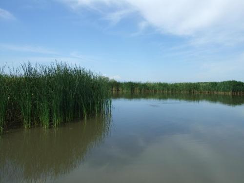 Ferienhäuser Aura - image 10