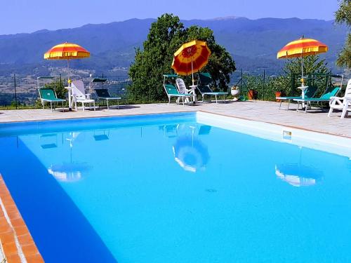 Farmhouse in Poppi with Pool & Nature Views