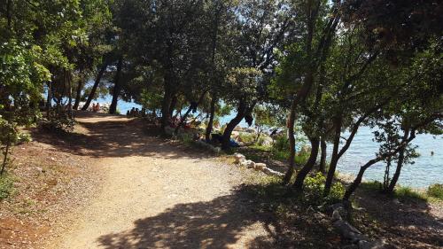 Apartments Soldo - image 4