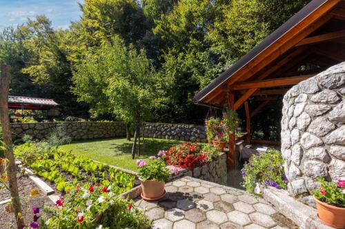 Apartaman Goga