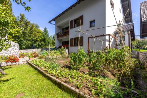 Viesnīcas āriene, Apartaman Goga in Lokve