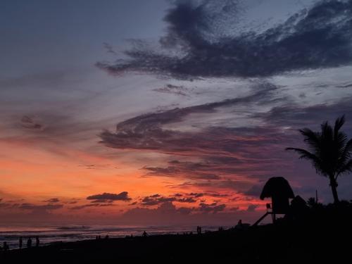 Beach, Manglare in El Paredon Buena Vista