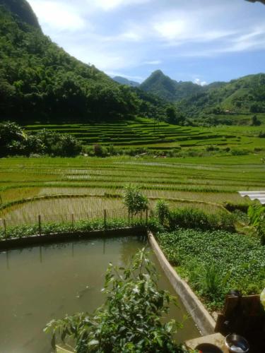 homestay chill Pu luông - image 3