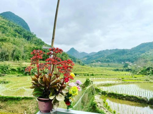homestay chill Pu luông - image 2
