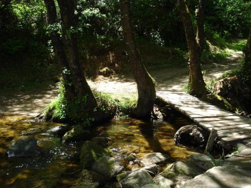 Casa Barbadelo - image 3