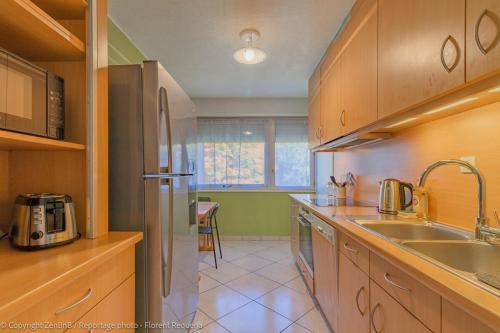 Large T4 Cozy with a magnificent mountain view in Vetraz-Monthoux (Rhone-Alpes)