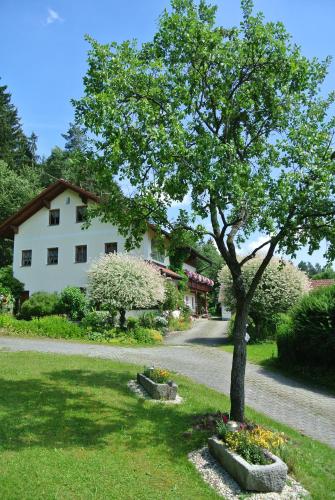 Haus Am Waldrand - Ferienwohnung Augustin