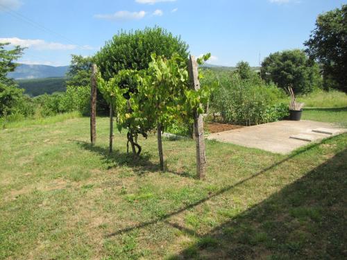  Apartments San Roko in Potpićan