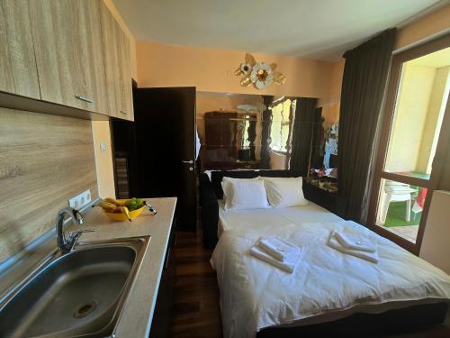 Apartment - Studio Cucetno, Sandanski (zdjęcie 9)