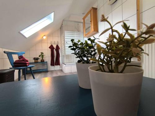 Fürdőszoba, Ferienwohnung Vulkanblick -Dein Ruheplatz mitten im Vulkanland in Kalenborn