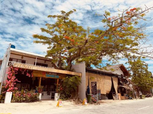 The Blue Doors- Siargao 5