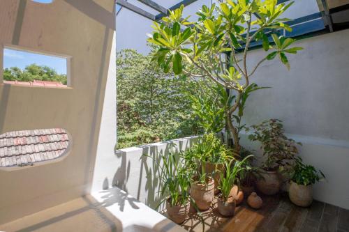 Casa De Lua Hoi An, Hoi An (zdjęcie 9)
