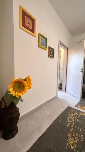 Apartment Garden in Laplje Selo