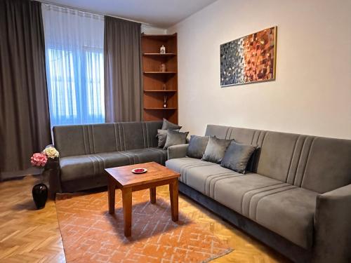 Apartment Garden in Laplje Selo