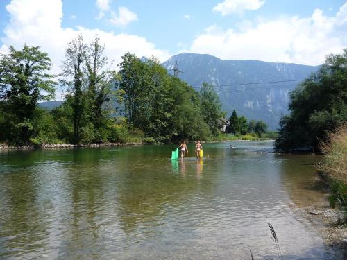 Landhaus HALLSTATT FEELING - Apartment - Self Check-in 5