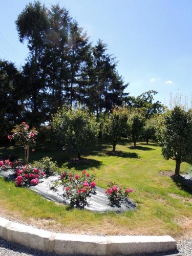 Les Stiers - Chambre d'hôtes - Piré-Chancé