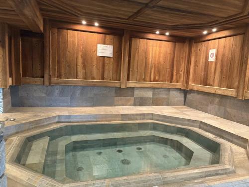 Appartement 4/6 pers renove, spa & pied des pistes - FR-1-461-12 near La Fondue Val Thorens