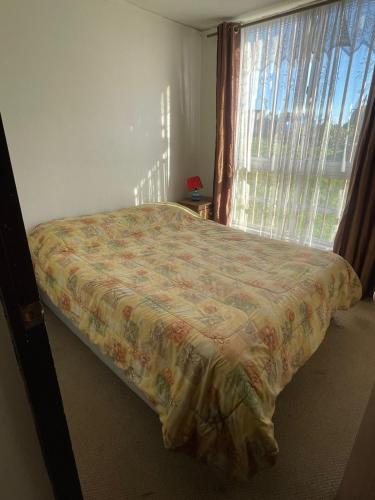 Alojamiento Araucania Centro