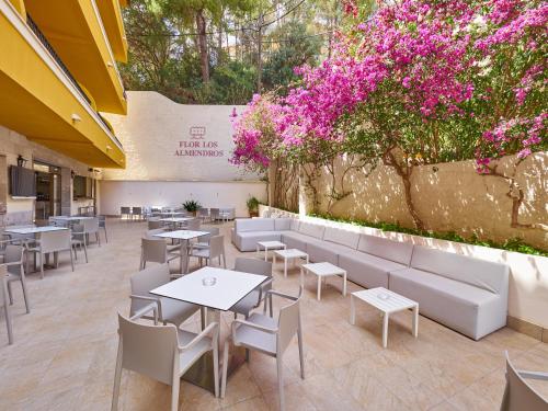 Apartamentos Flor los Almendros - image 6