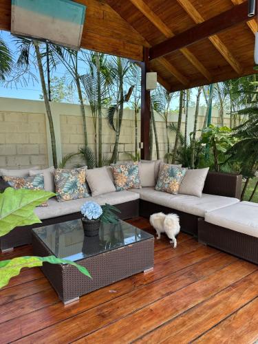 Luxury Villa with Pool, jacuzzi,Basketball and more in Villa Mella