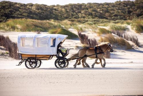 ชายหาด, Deichrose in จูอิส์ท