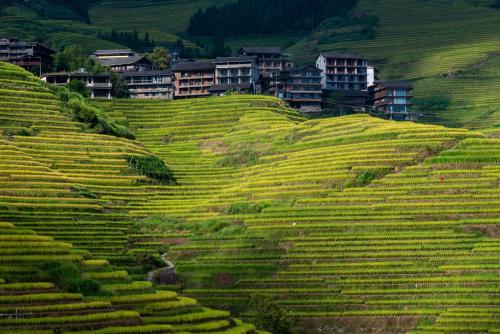Longsheng Longji Rice Terraces Jingyue Hotel 龙胜龙脊梯田境悦酒店 - Guilin Longsheng Longji Rice Terraces Jingyue Hotel 龙胜龙脊梯田境悦酒店 - Guilin