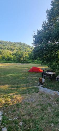 Livari CAMPING in สตาริ บาร