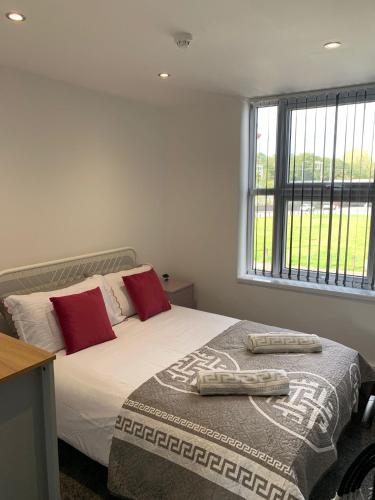 The Meadows - Flat 1, Manchester (photo 9)